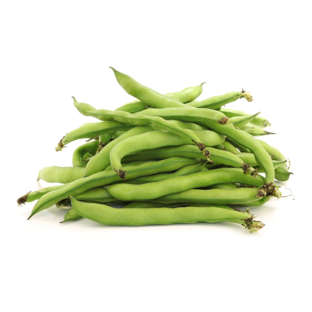 Broad Beans Syria 1kg