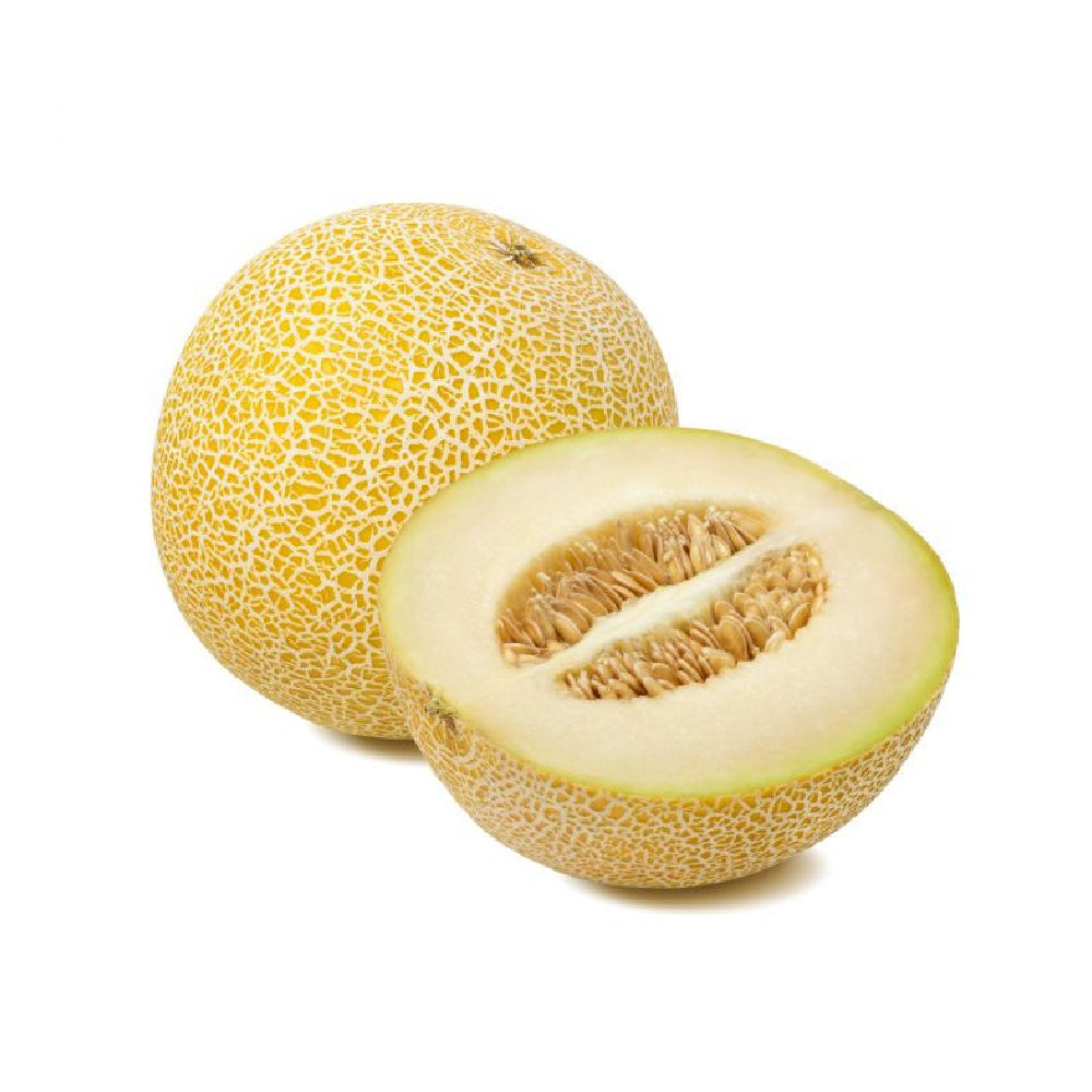 Melon Galia Morocco 2.-5-3Kg Piece