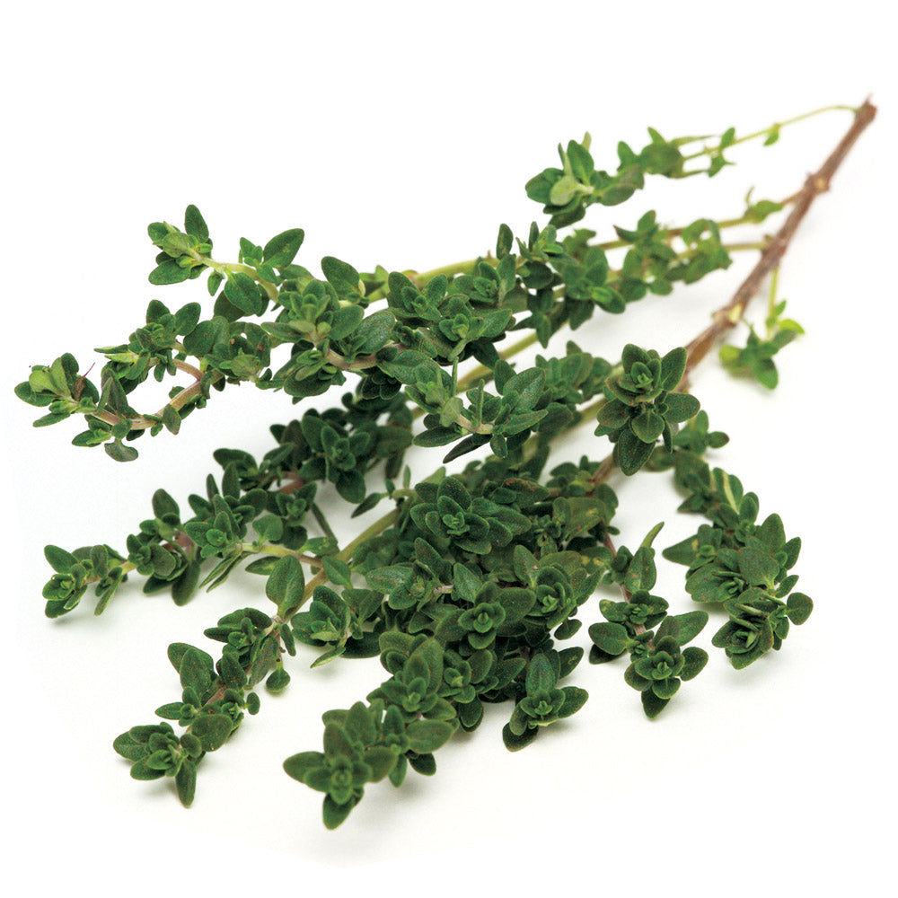 Thyme Palestine 500g