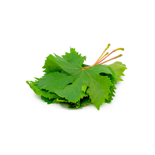Grapes Leaves Lebanon 250g