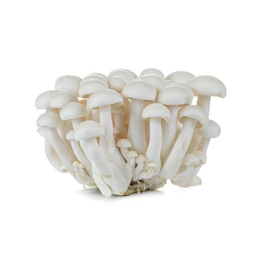 Mushroom Shimeji White China 150g