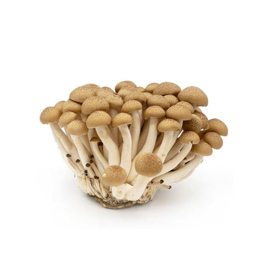 Mushroom Shimeji Brown China 150g