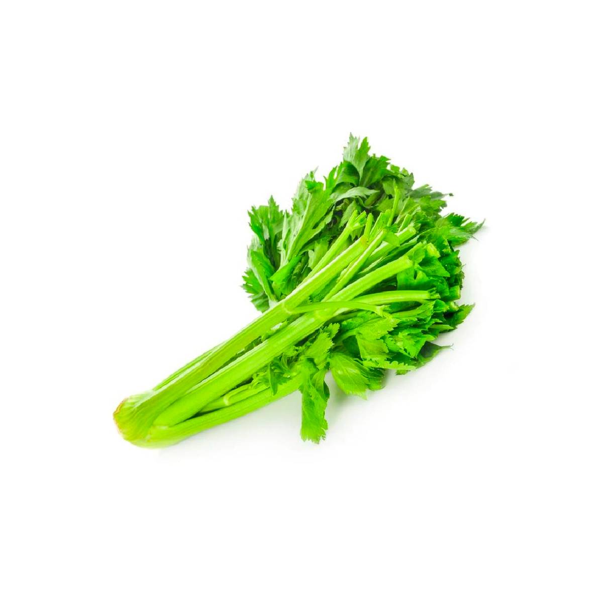 Celery Oman +400g/pc