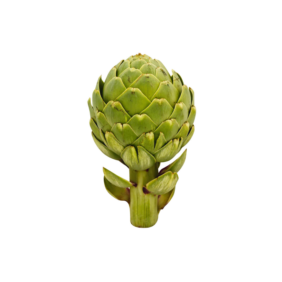 Artichoke France 1kg