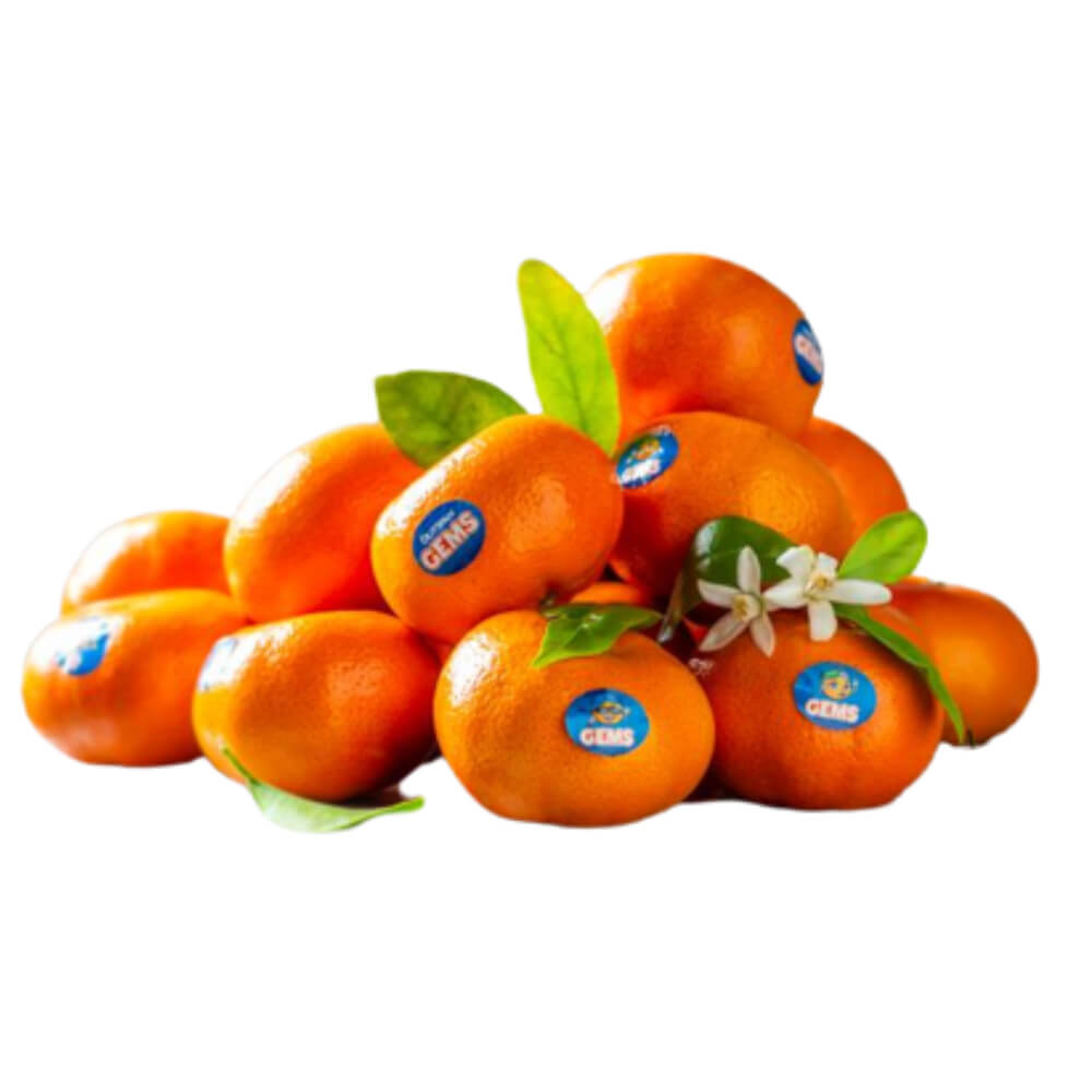 Mandarin Nadorcott South Africa 1 Kg
