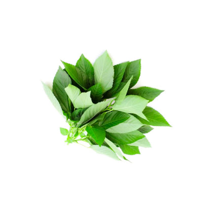 Fresh Molokhia Lebanon 500g