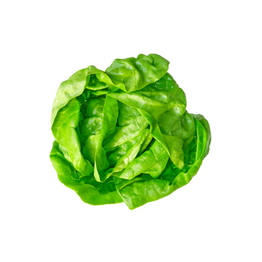 Lettuce Boston UAE +180g