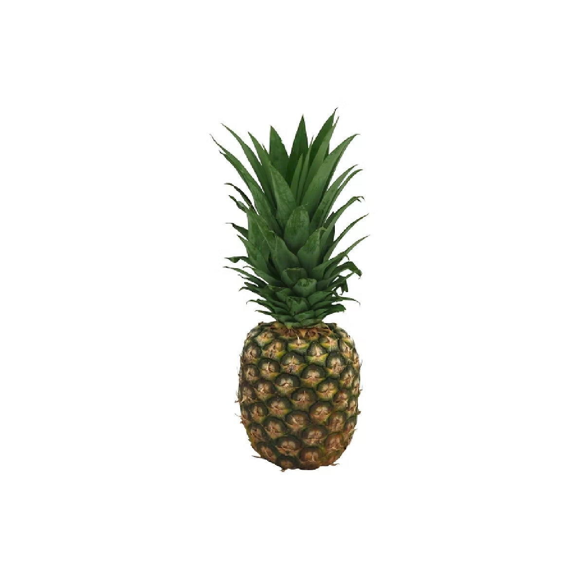 Baby Pineapple Organic Netherlands 800g-1000g Piece