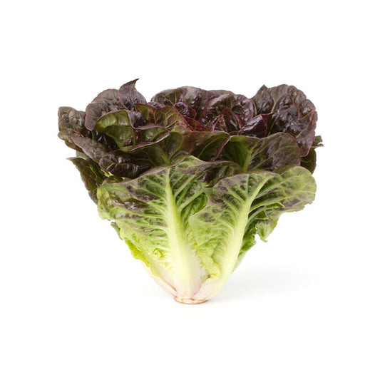 Lettuce Oakleaf UAE 125g