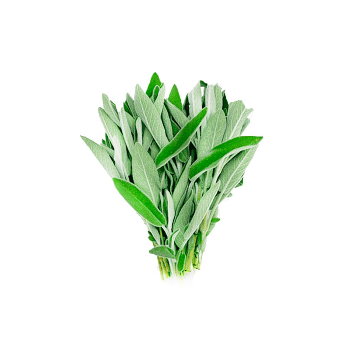 Fresh Sage Jordan 250g