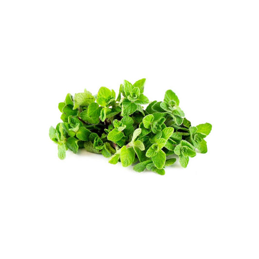 Zaatar Jordan 250g