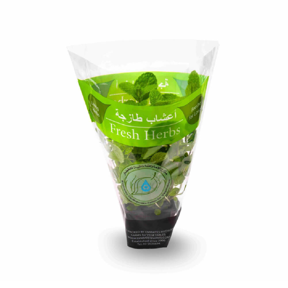 Mints Leaves Pot Uae 1 Piece