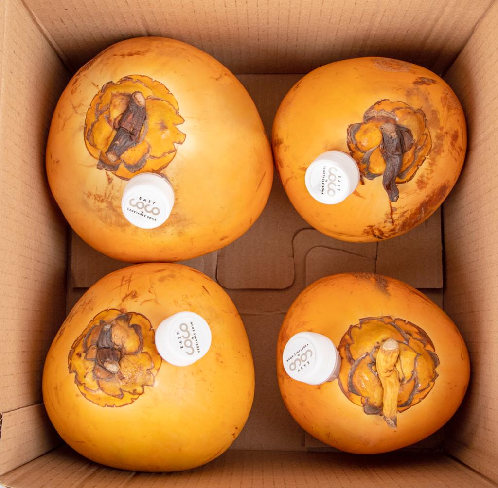 Easy Coco Tender Coconut Srilankan Hamper 4S Sri Lanka 4 Piece Box