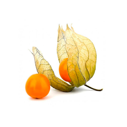 Physalis Colombia 100g