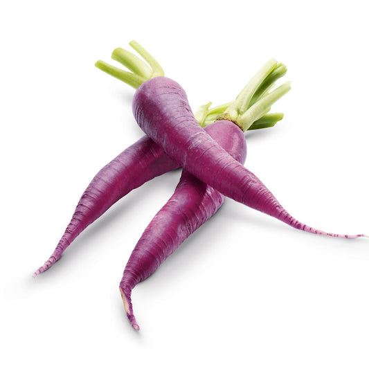 Mini Carrot Top Purple South Africa 200g Pack