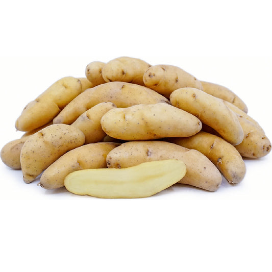 Potato Pioneer Yellow Fingerling Usa 1 Kg