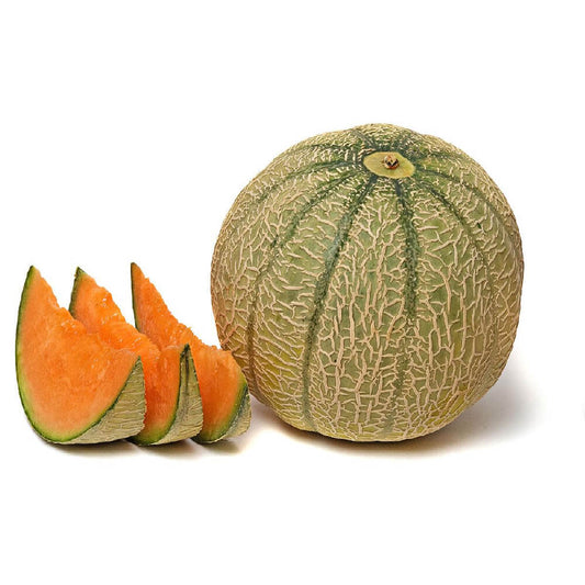 Cantaloupe Melon Morocco 1200g Piece
