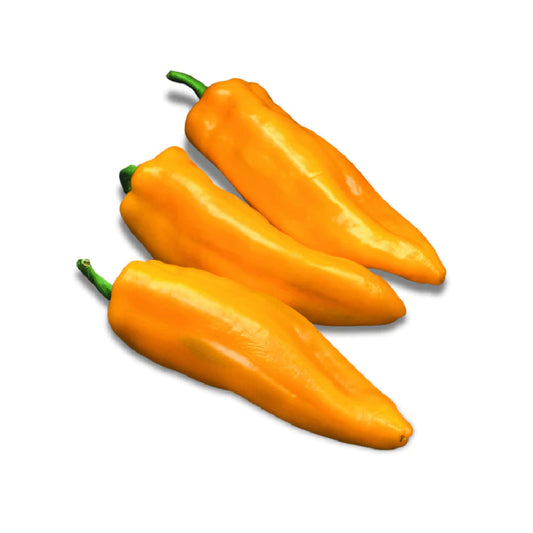 Chili Orange Flat Iran 500g
