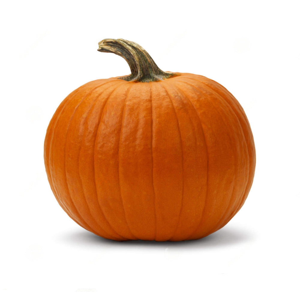 Halloween Pumpkin Germany 6-7.5Kg Piece