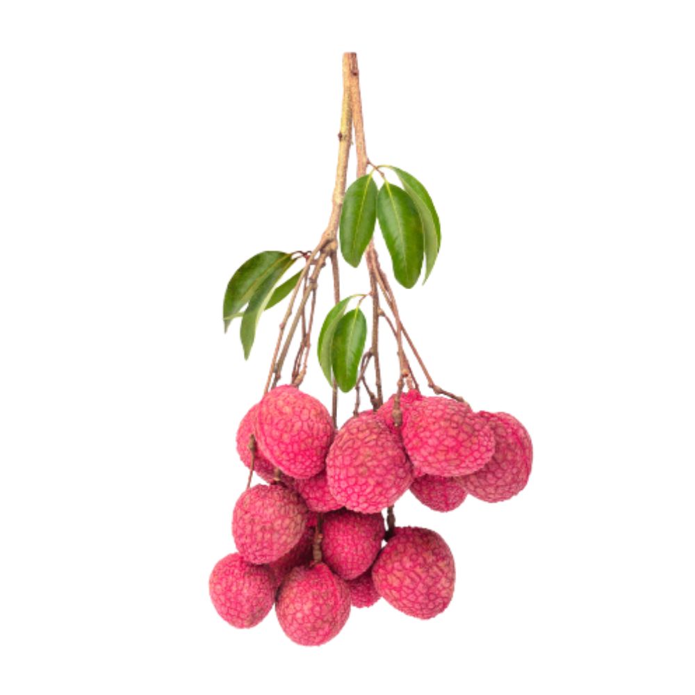 Lychee with Leaves Mauritius 500g