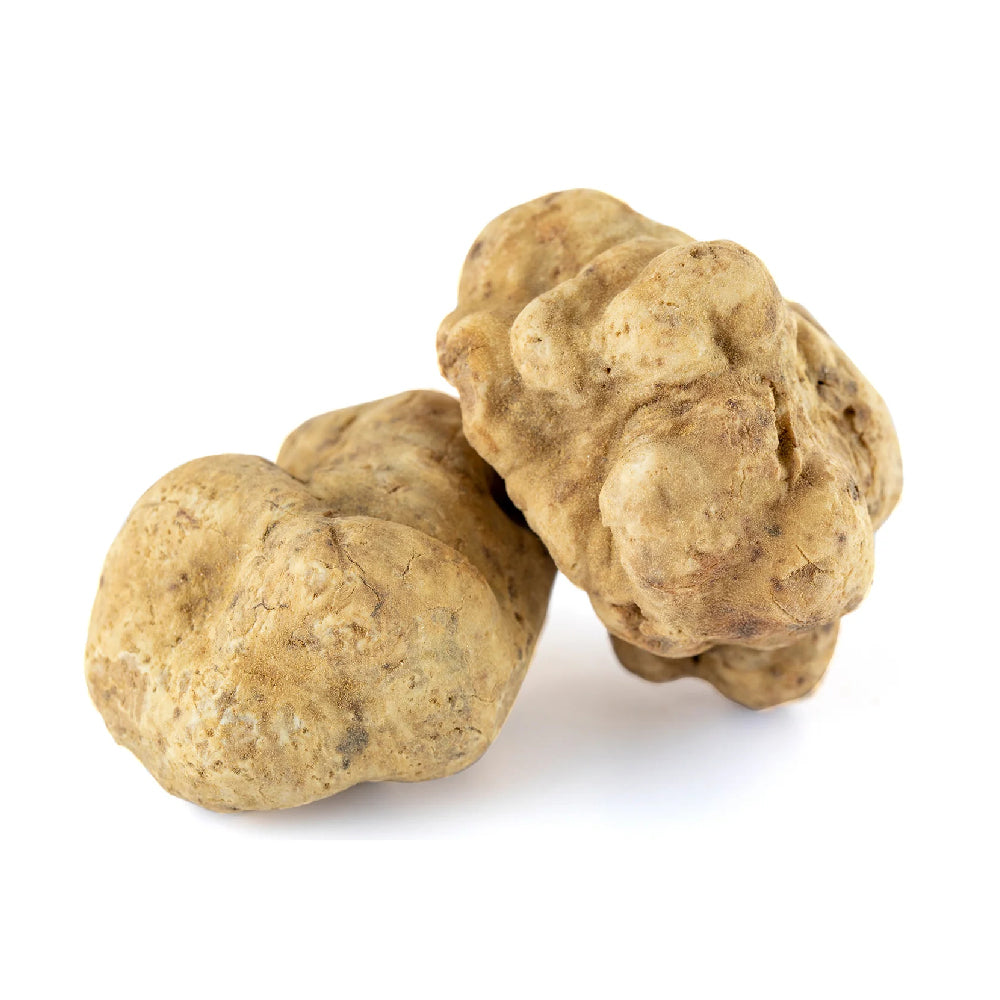 Truffle (Kama) Lebanon 500g