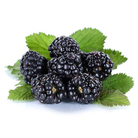Driscoll's Blackberry Morocco 125g