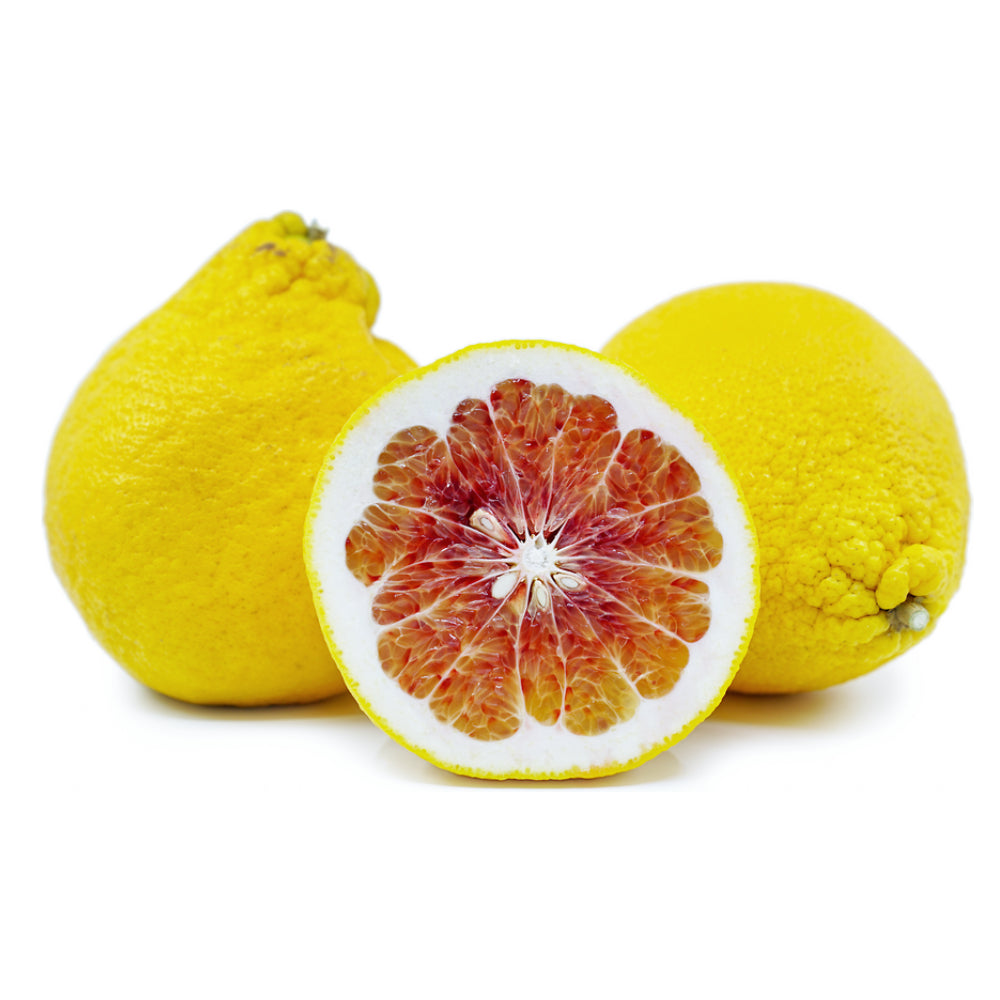 Mini Pomelo Buy Mini Pomelo Gold China - Shop On The Fresh Market UAE – Souk On Wheels