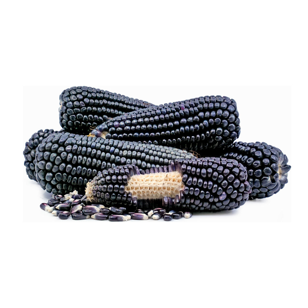 Sweet Corn Black China 350g/pc