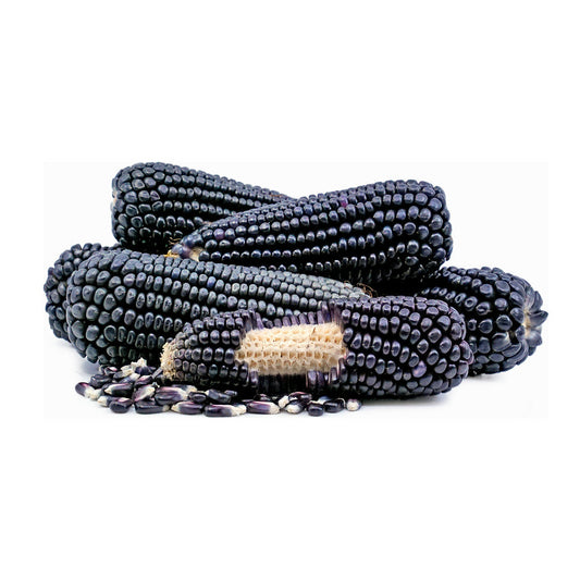 Sweet Corn Black China 350g/pc