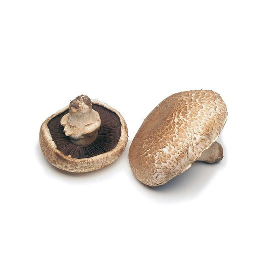 Mushroom Portabella Netherlands 500g