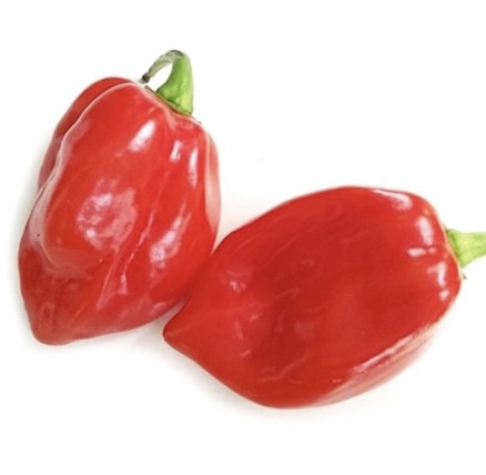 Red Habanero Chillies Malaysia/kg