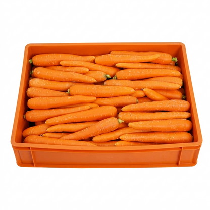 Carrot Australia 10Kg Box