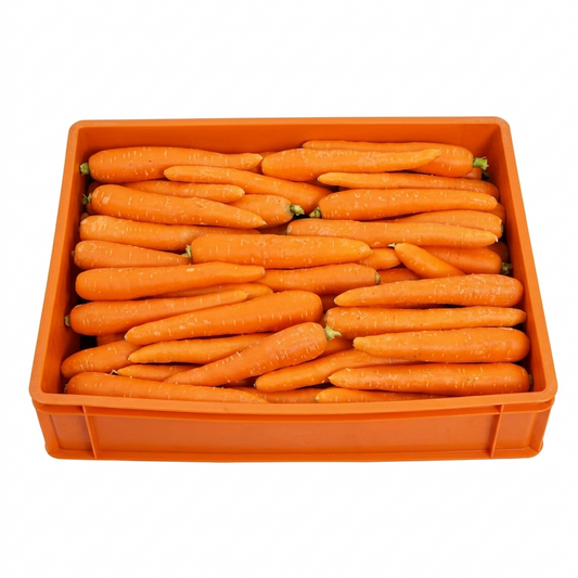 Carrot Australia 10Kg Box
