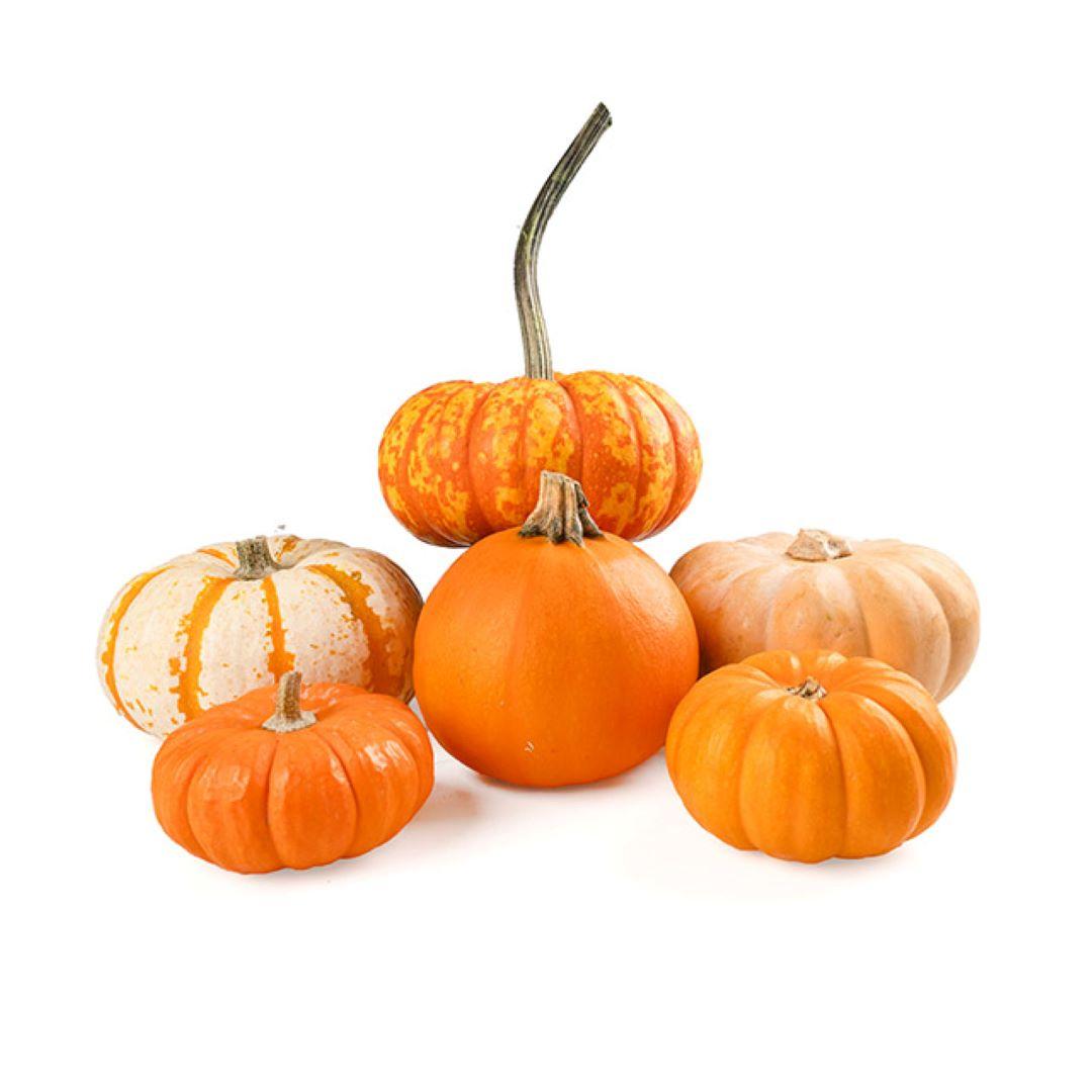 Halloween Package 1