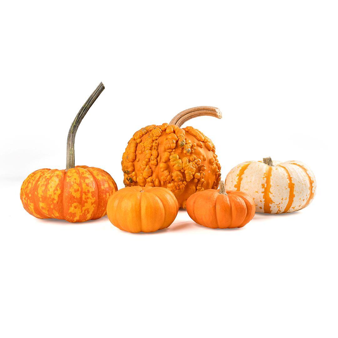 Halloween Package 2