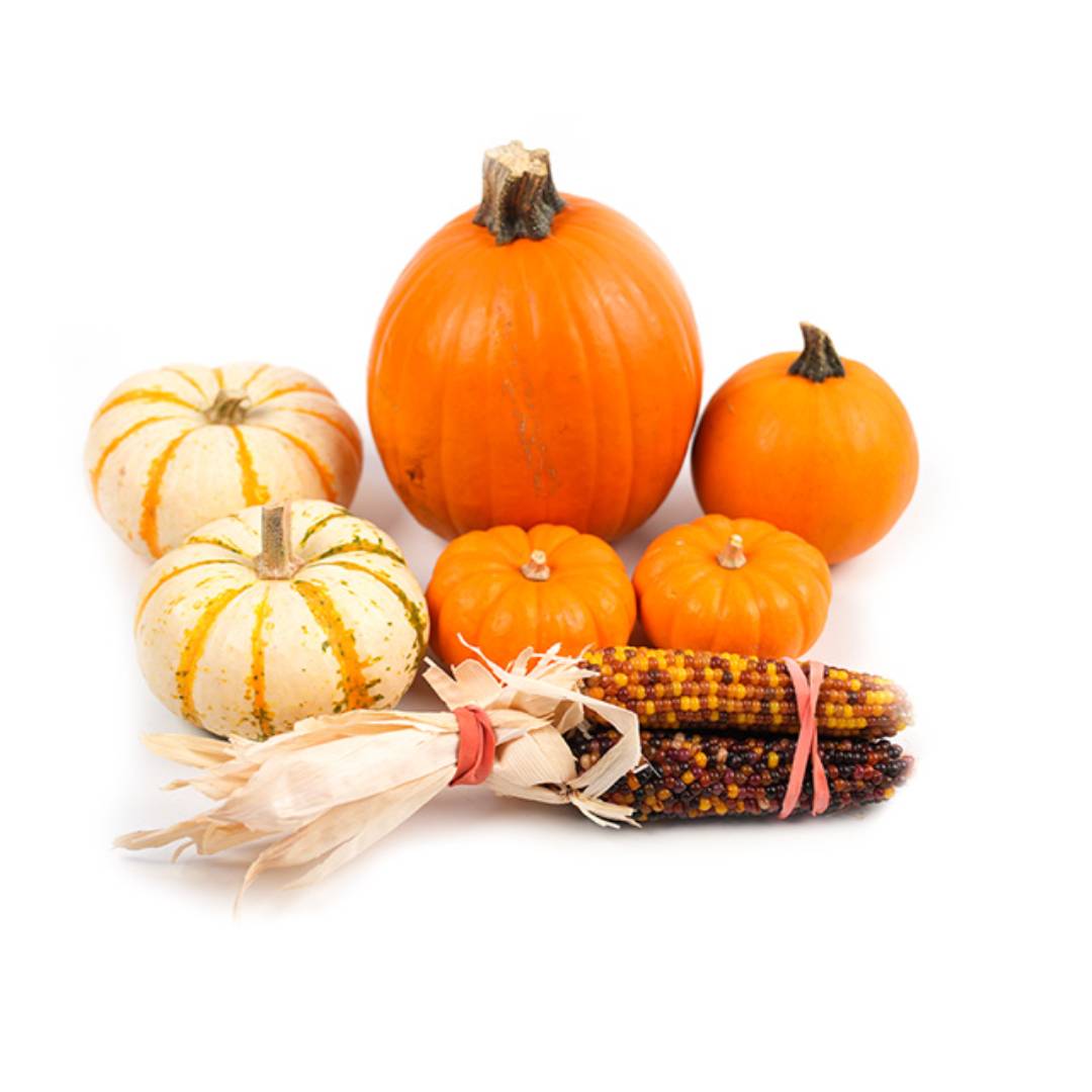 Halloween Package 3