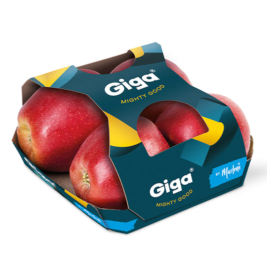 Apple Giga South Africa 4pcs Pack