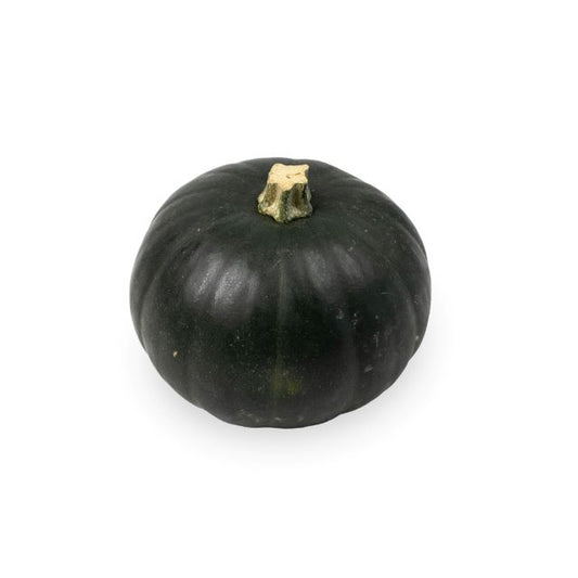 Lil' Twilight Pumpkin USA 550g