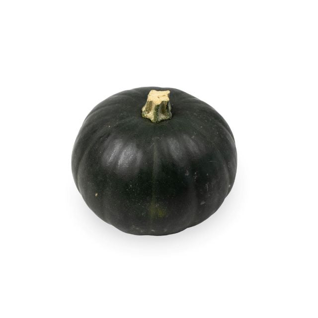 Lil' Twilight Pumpkin USA 550g