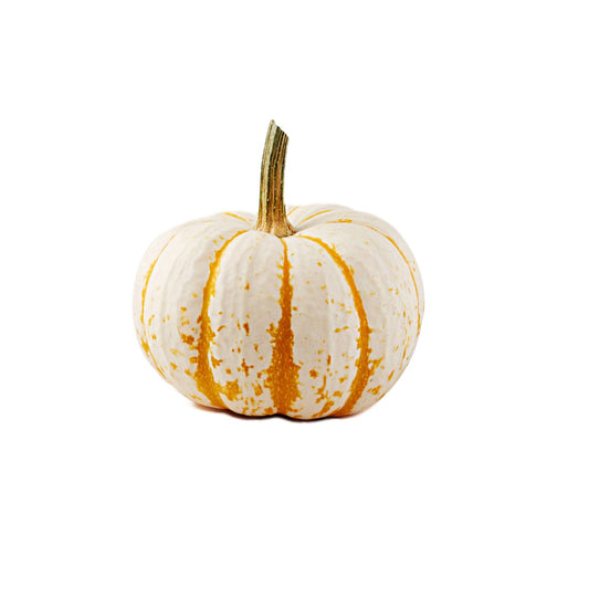 Líl Tiger Pumpkin USA 550g