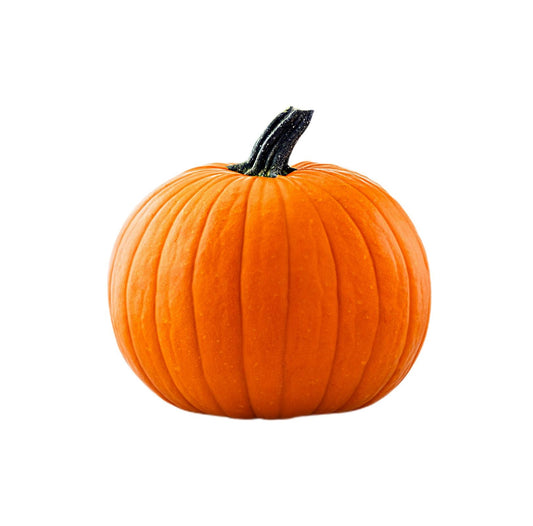 Pumpkin Netherlands 7-9Kg