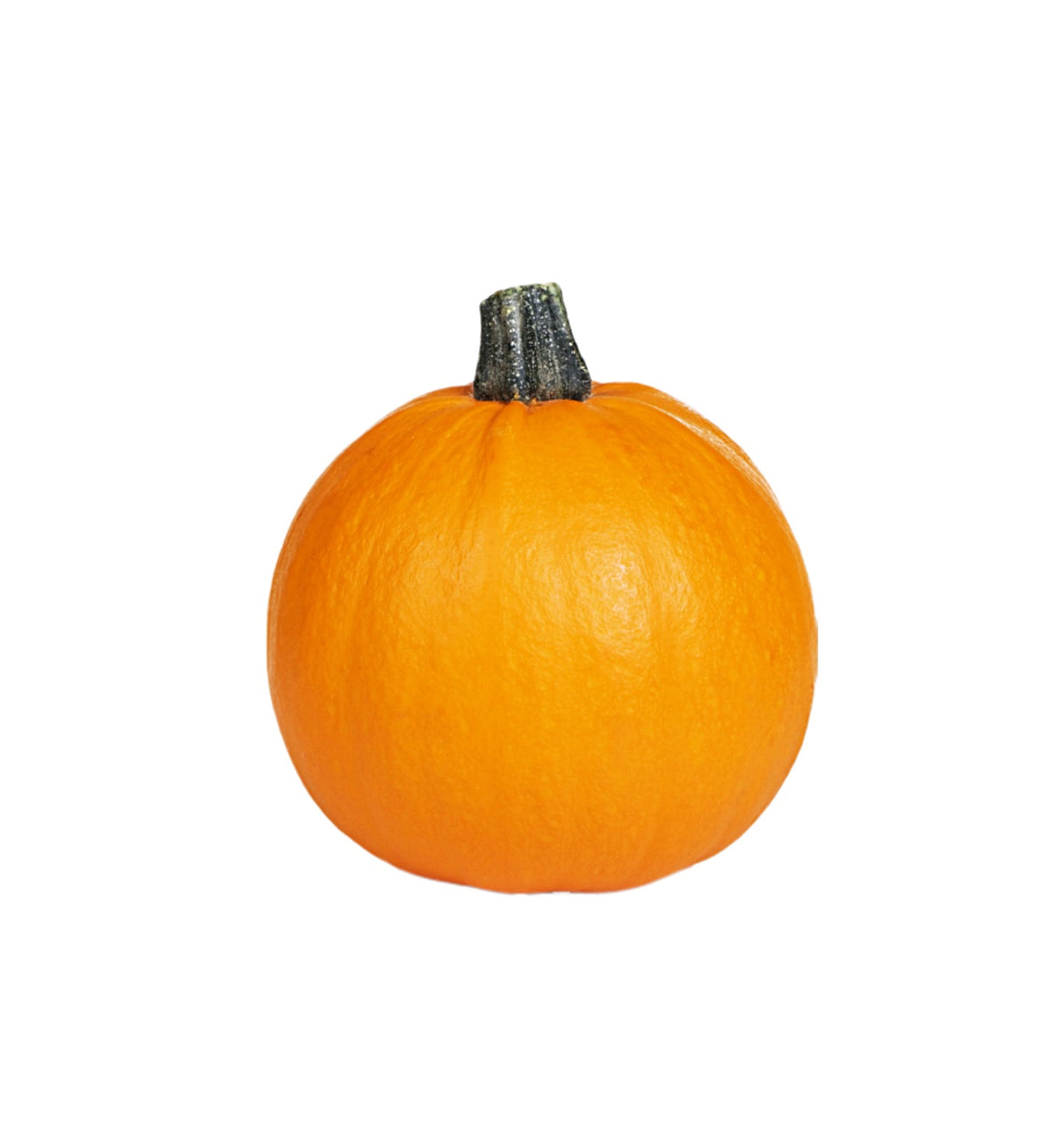 Pie Pumpkin USA 1.6kg