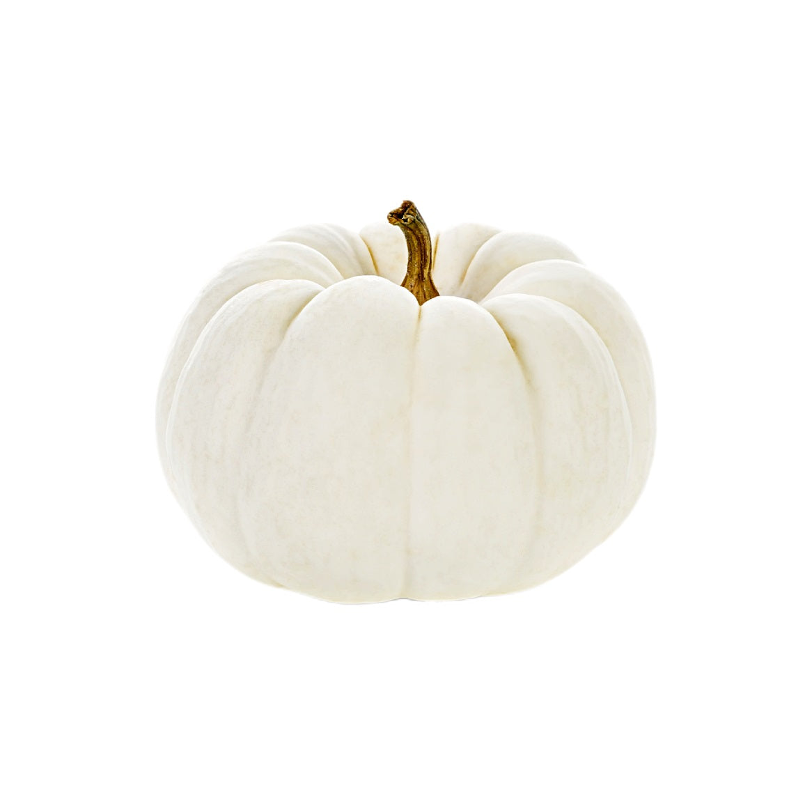 White Pie Pumpkin USA 1.1kg