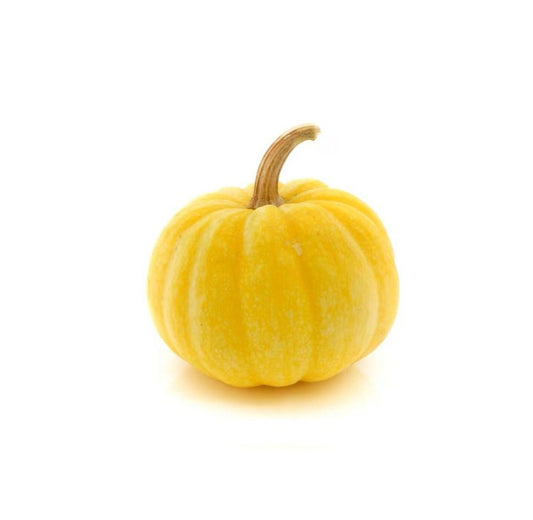 Mini Yellow Pumpkin USA