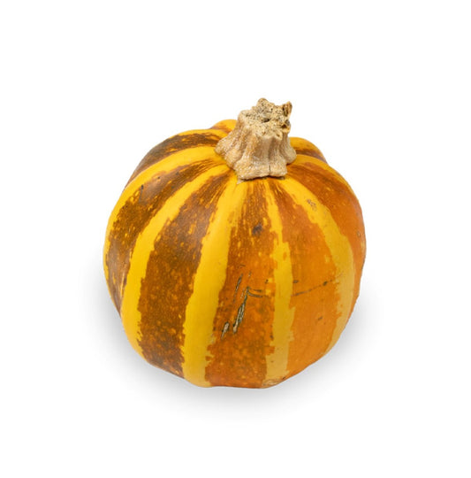 Zebra Stripe Pumpkin USA 1.5kg