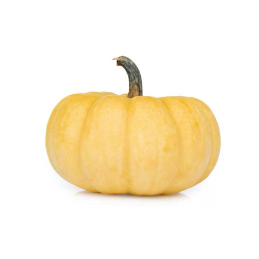 Carmelita Pumpkin USA 600g
