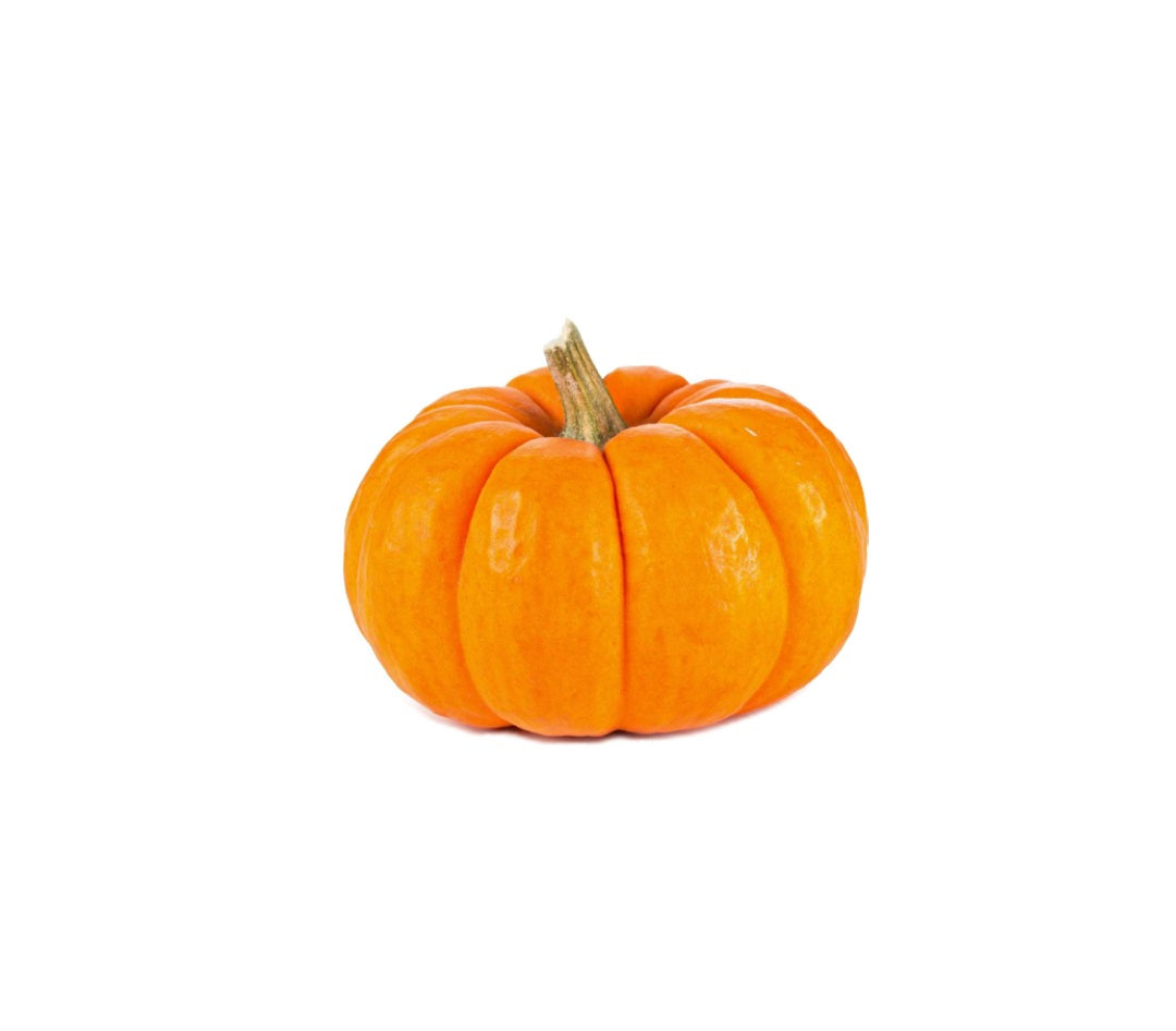 Mini Orange Pumpkin USA