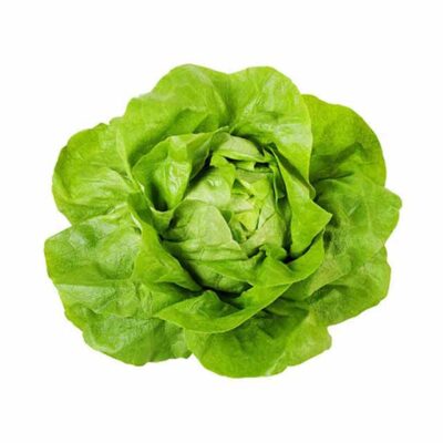 Boston Lettuce 125g