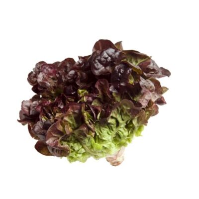 Oakleaf Red Lettuce 160g