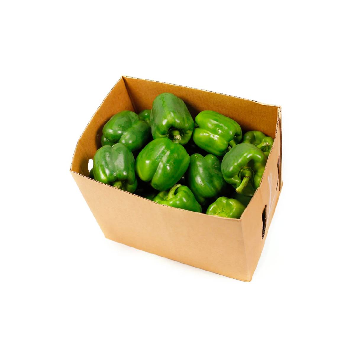 Capsicum Green